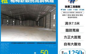 楊梅新穎挑高鋼構廠