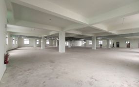 大湳交流道新穎挑高廠辦5樓