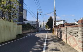 近台66稀有角地丁工+農地