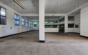 大園可納管租售廠房