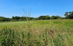 中壢工業區擴大一期土地