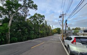 楊梅交流道旁全新鋼骨廠房