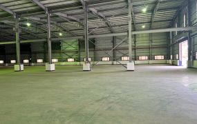 彰濱挑高方正廠房