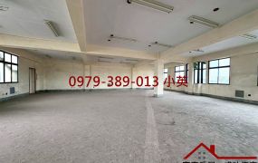 南區金華路三角窗大地坪電梯店住