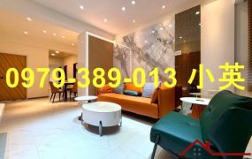 南區近新光三越精緻裝潢三房健身寓