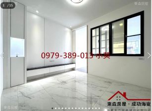 永康近奇美南台整新車墅