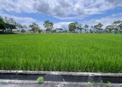 永慶許書豪★五結水岸第一排美景小農地