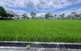 永慶許書豪★五結水岸第一排美景小農地
