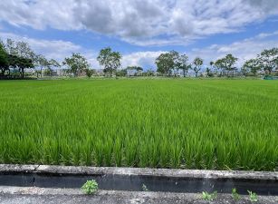 永慶許書豪★五結水岸第一排美景小農地
