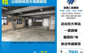 出租樹林透天貨梯廠房176