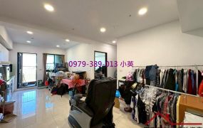 善化南科植村NY可改兩房景觀電寓