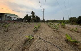 近路竹市區1.77分農地|有水電