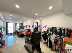 善化南科植村NY可改兩房景觀電寓