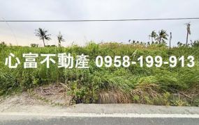 阿蓮土庫美農地(每分490萬)