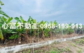 岡山都內美農地(近樂購、捷運站)