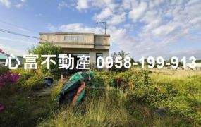 安定科學園區方正農地景色優美(享受田園生活~