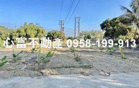 路竹開心農場有水電