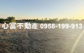 12米路!!岡山8.65分農地