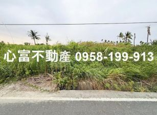 阿蓮土庫美農地(每分490萬)