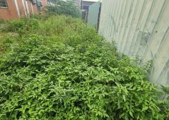 近輔仁中學建地-1211