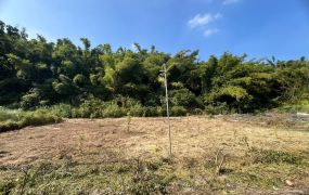 台南市左鎮平坦近市區農地