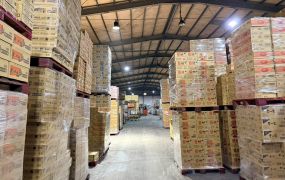 近中壢台31單層挑高可廠登工業廠房500坪