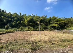 台南市左鎮平坦近市區農地