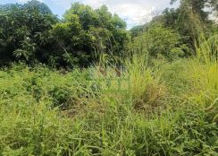 南豐段都內優質農地