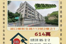 湖口中興國小三房車位-115/2/2 開標