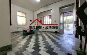 歸仁歸南國小大地坪透天