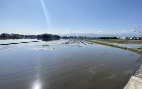 永慶許書豪★五結都計內低於公告現值美農地