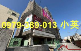 善化怡華悅全新三房平車