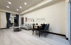 善化成功新村舒適2房平車1樓寓