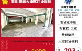 龜山挑高天車RC方正廠房