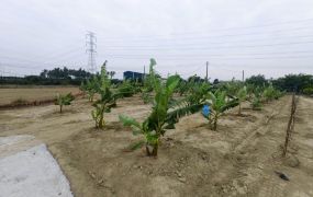 路竹近國道低總價有臨路農地