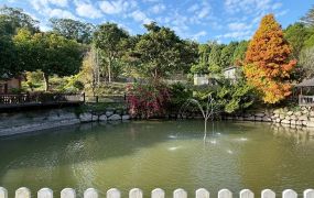 峨嵋東方鄉林社區景觀農地