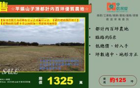 ☆平鎮山子頂都計內百坪優質農地☆