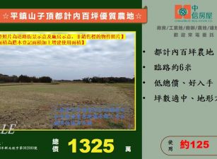 ☆平鎮山子頂都計內百坪優質農地☆