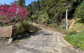 北埔高海拔杉木園休閒屋