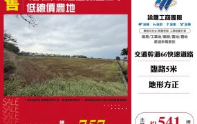 (專任)新屋近保生國小低總價農地