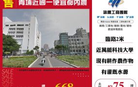 青埔近國一便宜都內農