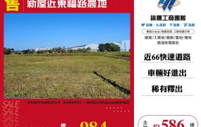 新屋近東福路農地
