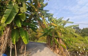 燕巢金山路旁雙面臨路6.4分大農地