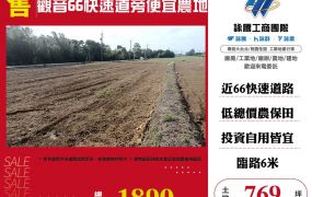 觀音66快速道旁便宜農地