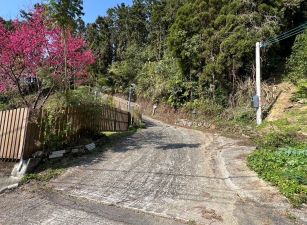 北埔高海拔杉木園休閒屋