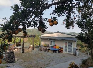 峨嵋河背景觀資材室美農園