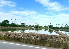 永慶許書豪★斑比山丘旁大面寬足坪農地