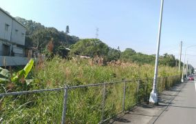 阿里山公路旁農地08-044 052337228