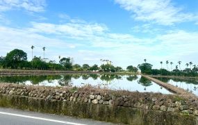 永慶許書豪★斑比山丘旁大面寬足坪農地