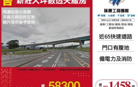 新莊大坪數透天廠房